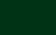 RGB color: 003315, gif 