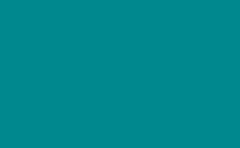 RGB color: 00888e, gif 