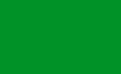 RGB color: 009227, gif 