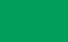 RGB color : 009e58, gif 