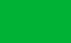 RGB color : 00b235, gif 