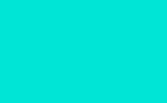 RGB color : 00e5d6, gif 