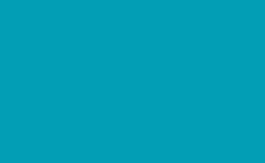 RGB color : 029eb5, gif 