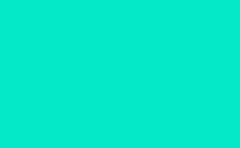 RGB color : 04e9c7, gif 