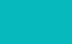 RGB color: 05b9bd, gif 