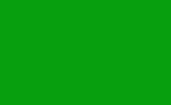 RGB color : 089e0d, gif 