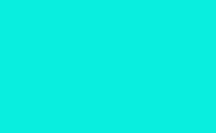 RGB color : 09eedf, gif 