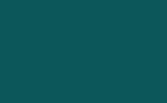 RGB color : 0b5759, gif 