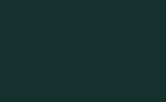 RGB color: 14312e, gif 