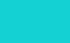 RGB color: 14d0d3, gif 