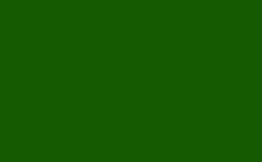 RGB color : 165a00, gif 