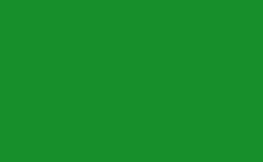 RGB color : 178e2c, gif 