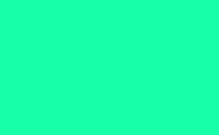 RGB color: 18ffac, gif 