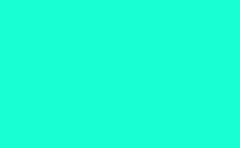 RGB color : 18ffd3, gif 