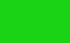 RGB color : 19d314, gif 