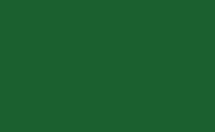 RGB color: 1b602f, gif 