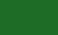 RGB couleur: 1e6c26, gif 