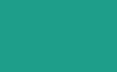 RGB color : 1e9e8a, gif 