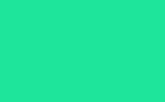 RGB color: 1ee59b, gif 