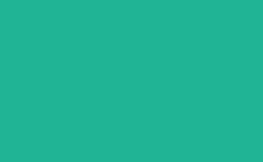 RGB color : 20b495, gif 