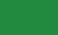 RGB color : 218a3e, gif 