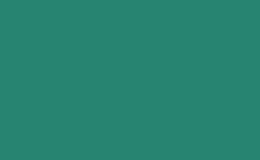 RGB color : 26866e, gif 