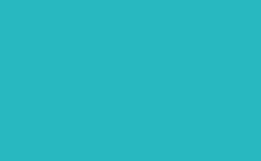 RGB color : 27b8c0, gif 