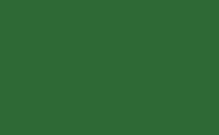 RGB color : 2e6935, gif 