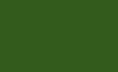 RGB color : 335b1c, gif 