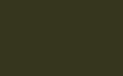 RGB color: 36371f, gif 