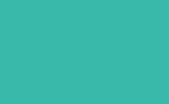 RGB color : 38b9aa, gif 