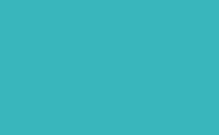 RGB color: 39b6bc, gif 