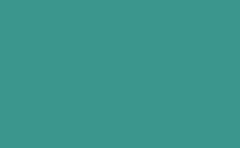 RGB color : 3b978e, gif 