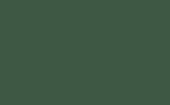 RGB color : 3e5844, gif 