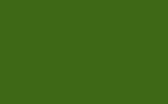 RGB color : 3e6815, gif 