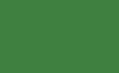 RGB color : 3e8041, gif 