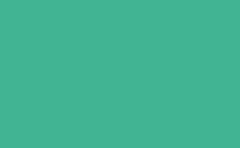 RGB color : 41b492, gif 