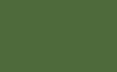 RGB color : 4e6a3b, gif 