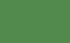 RGB color : 528a4e, gif 