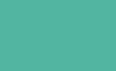 RGB color: 52b5a1, gif 