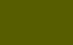 RGB color : 575d00, gif 