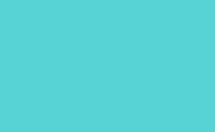 RGB color : 57d2d5, gif 