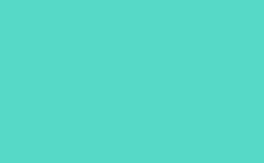 RGB color: 57d9c7, gif 