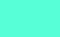 RGB color : 57ffd7, gif 