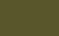 RGB color : 595729, gif 