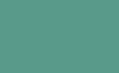 RGB color : 599a8a, gif 