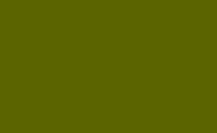 RGB color: 5b6400, gif 