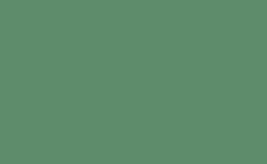 RGB couleur : 5e8c6b, gif 