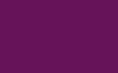 RGB color : 64155a, gif 