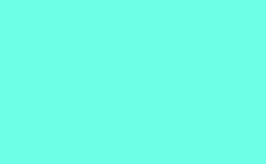 RGB color: 6dffe7, gif 